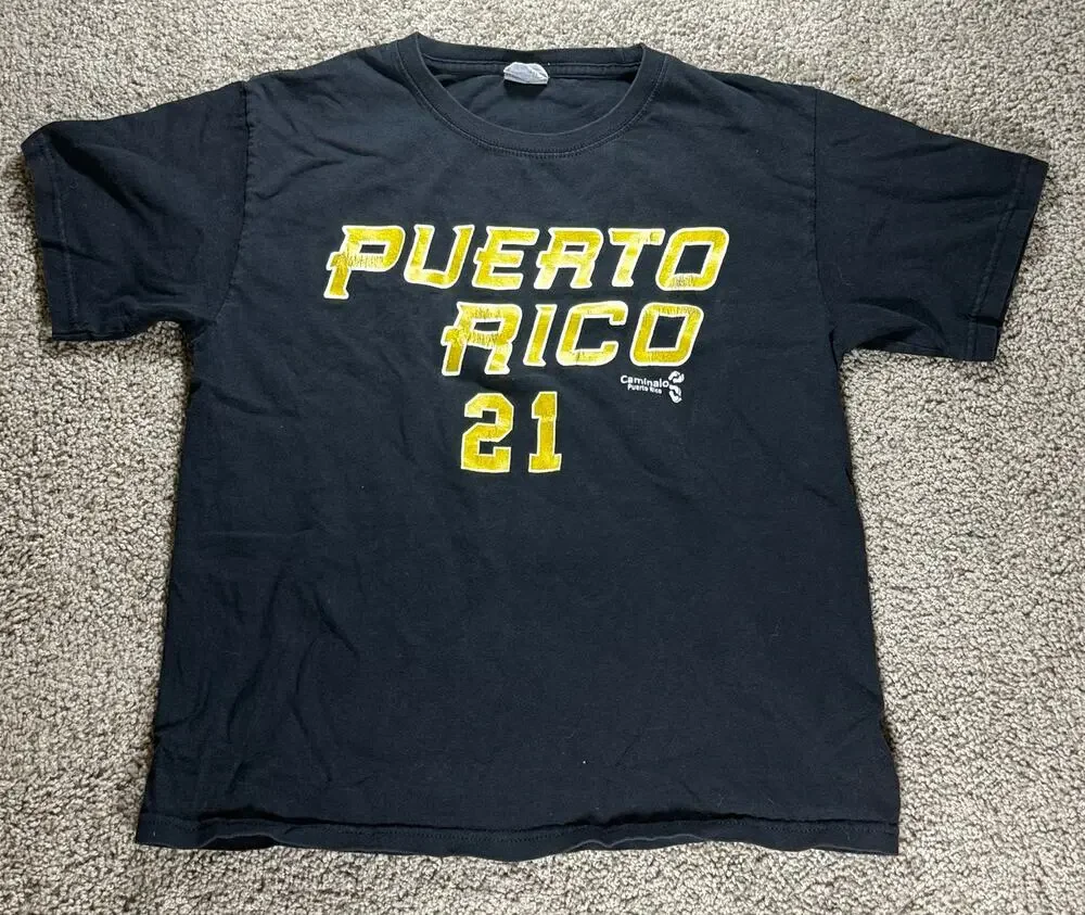 Puerto Rico 21 Caminalo Puerto Rico Graphic T-Shirt Boys Youth Large Black